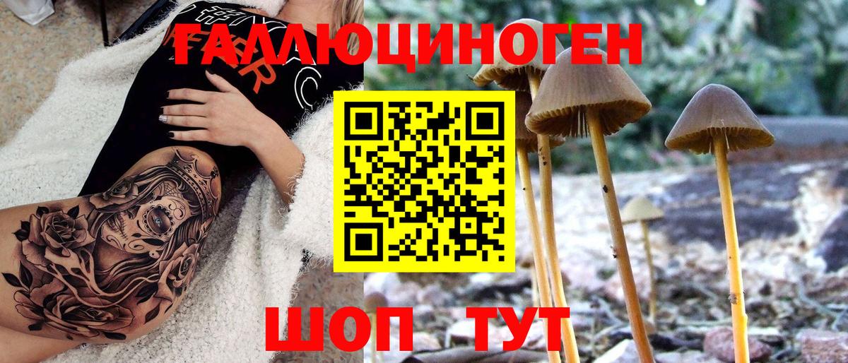 Ишимбай  наркота  Вход с VPN  Галлюциногенные грибы Magic Shrooms 
