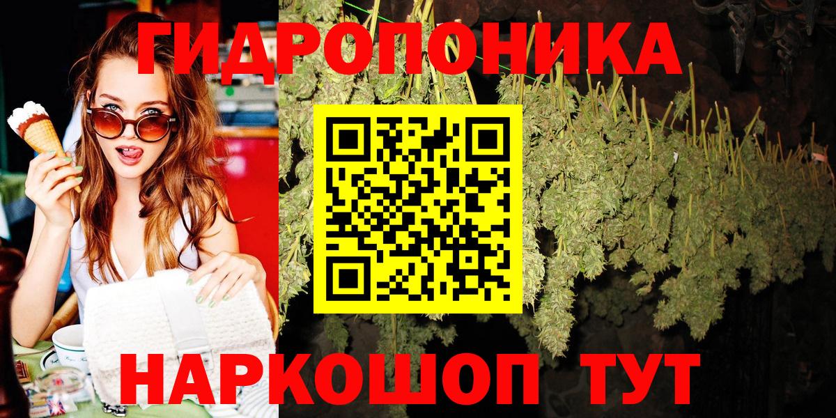 Канабис сатива  Конопля марихуана  Бошки марихуана AK-47  Ишимбай  Вход с VPN  Каннабис план 